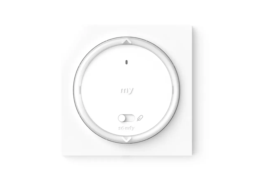 Somfy Amy 1 RS100 io